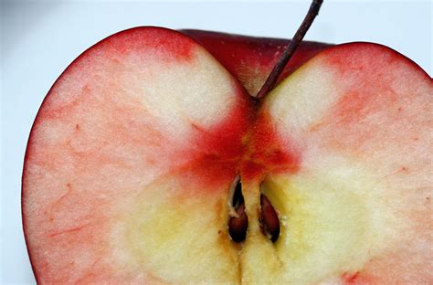 The Fascinating Link Between Apple Pips and Personal Development