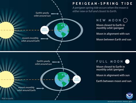 The Fascinating Link between Tides and the Moon