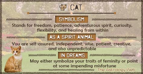 The Fascinating Symbolism and Significance Hidden within Dreams of Cat Kicks