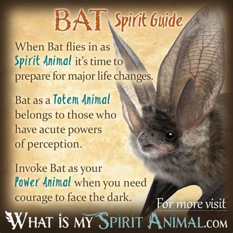 The Fascinating Symbolism of a Bat Encountered within your Dwelling