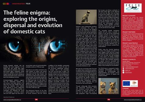 The Feline Enigma: Exploring the Presence of Human Facial Features in Cat Depictions Across Art and Literature