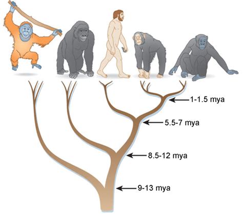 The Fiery Ape: An Insight into the Human Nature and Aspirations