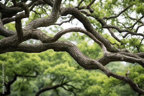 The Flexibility and Resilience of Trees: Unearthing their Symbolism in Dream Imagery