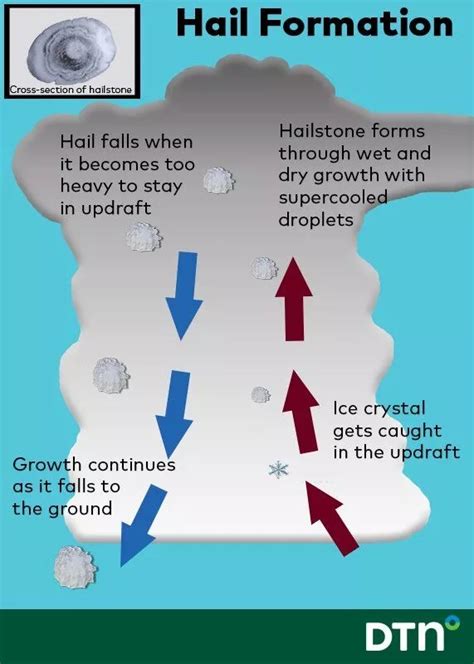 The Formation Process of Hailstones