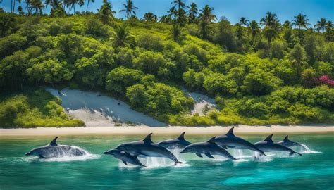 The Future of Dolphins: Conservation Efforts for Ensuring their Protection and Well-being