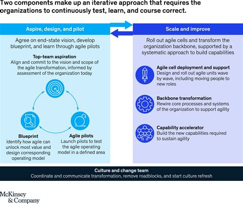 The Future of Understanding Agile Rats and Their Aspirations