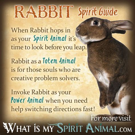 The Hare as a Guide: Exploring the Role of Animal Spirit Guides in Dream Interpretation