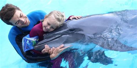 The Healing Power of Dolphin Therapy: Exploring its Benefits