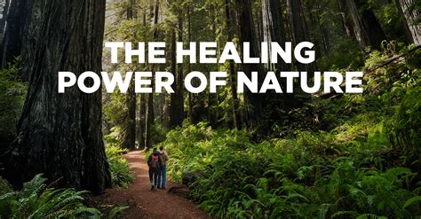 The Healing Power of Nature's Playground