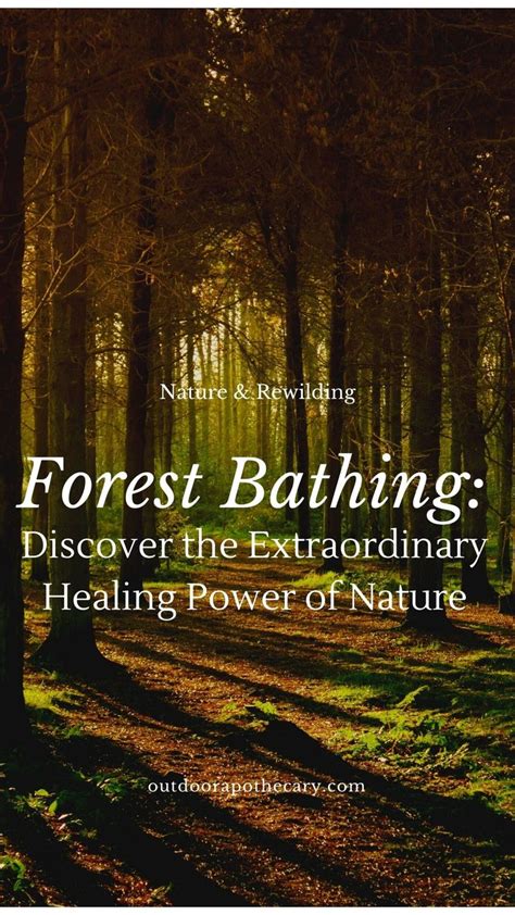 The Healing Power of Nature: Embrace the Therapeutic Benefits of Forest Living