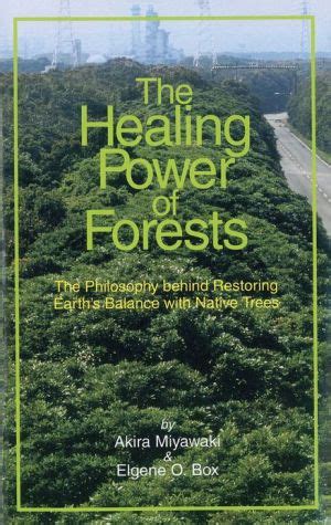 The Healing Power of Trees in Dreams: Restoring Balance and Harmony