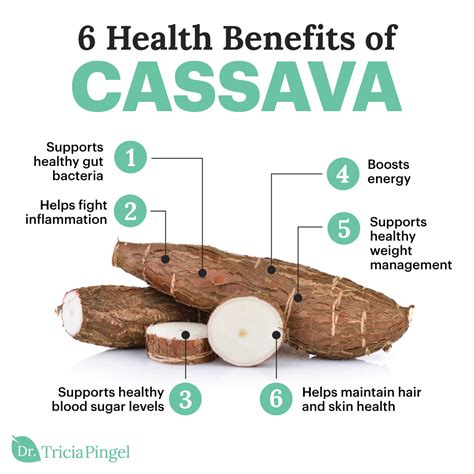 The Health Benefits of Cassava Root