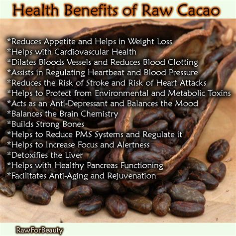 The Health Benefits of Luxurious Cacao Indulgence