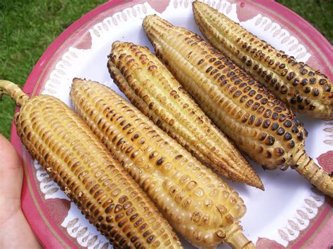 The Health Benefits of Roasted Maize: A Nutritional Powerhouse