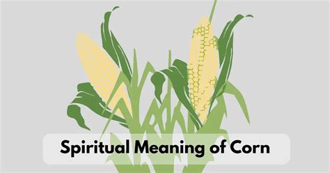 The Hidden Significance: Understanding the Symbolism Explored in a Dried Corn Harvest