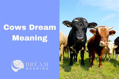 The Hidden Symbolism of Cows in Dreams