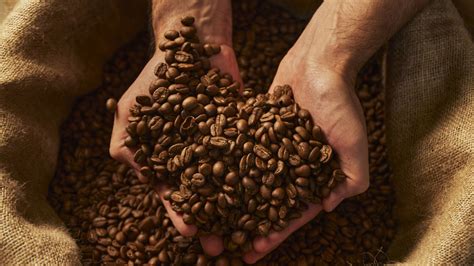 The Historical Journey of Coffee: From ancient rituals to global popularity