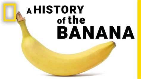 The History and Origin of Grandiose Bananas