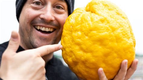 The History of Massive Citrus Fruits: From Legend to Reality