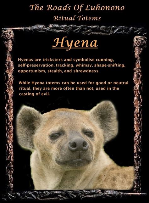 The Hyena as a Spirit Guide