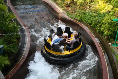 The Immersive Experience of Riding the Rapids