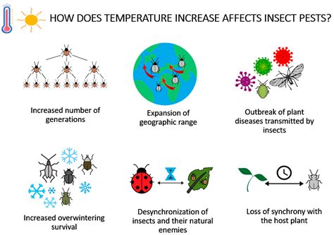 The Impact of Climate Change on Insect Sizes