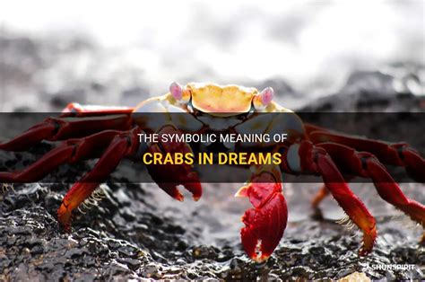 The Impact of Cultural Beliefs on Symbolism of Crab in Dreams