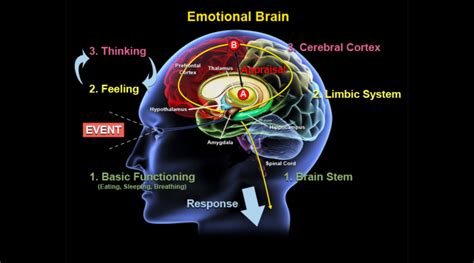 The Impact of Dreams on Processing Emotions