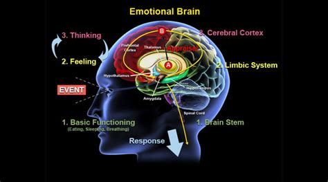 The Impact of Emotions in Our Dreams