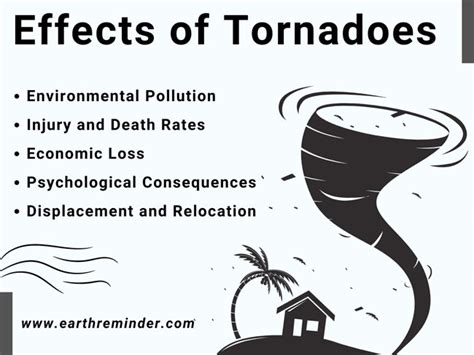 The Impact of Fire Tornadoes on People and the Environment