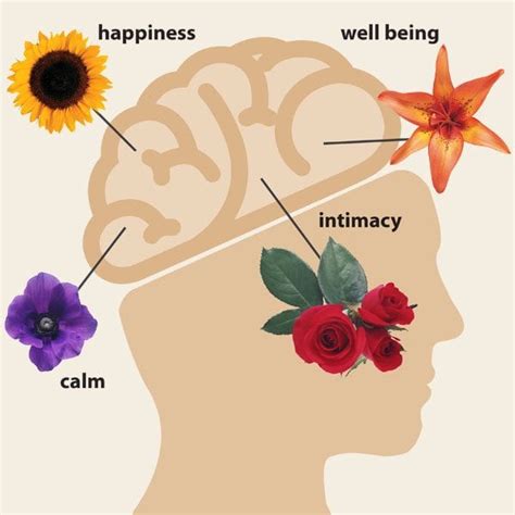 The Impact of Flowers on Your Happiness and Well-being