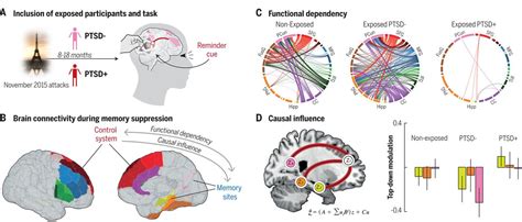 The Impact of Trauma and Suppressed Memory on Dreams of Committing Homicide