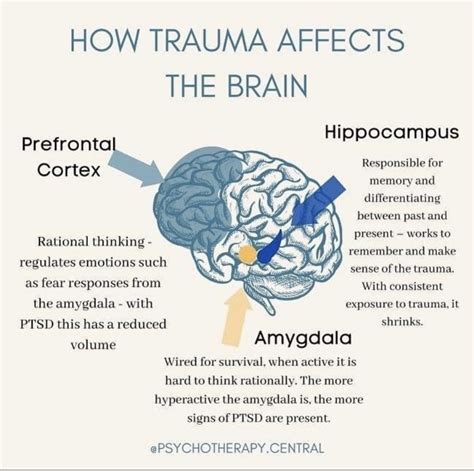 The Impact of Trauma on Nightmares