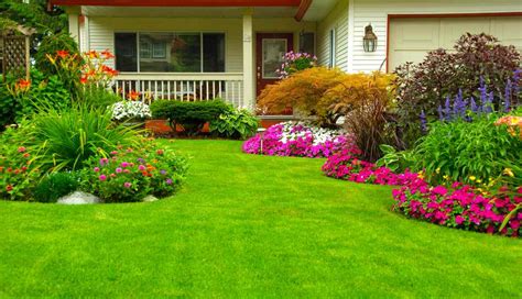 The Impact of a Well-Manicured Lawn on Property Value