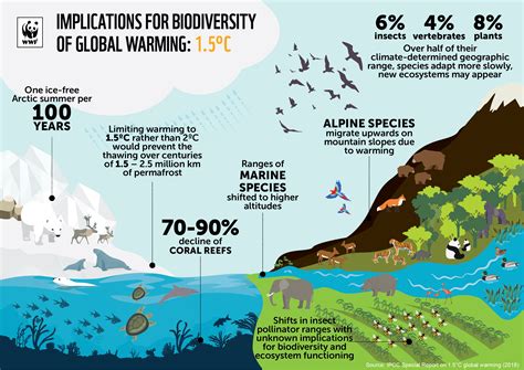 The Impact on Ecosystems and Wildlife