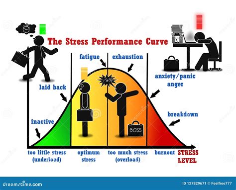 The Impact on Performance and Stress Levels