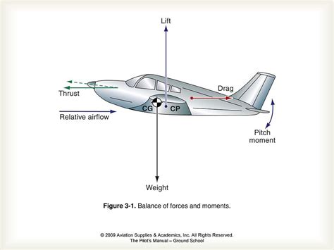 The Importance of Aerodynamics in Fish Flight