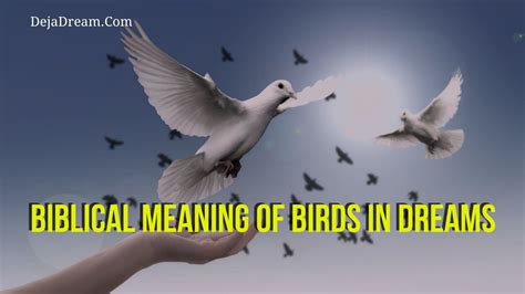 The Importance of Birds in Dreams