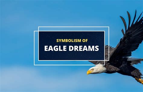 The Importance of Dreaming about Brown Eagles