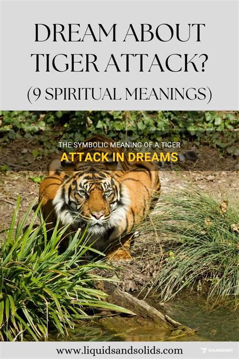 The Importance of Dreaming about a Tiger's Bite