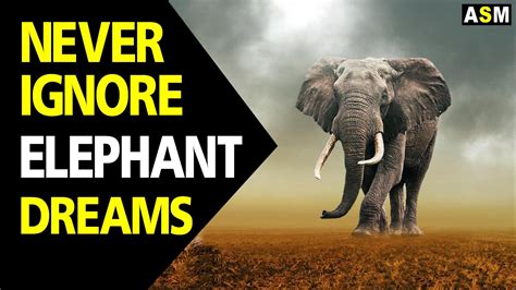 The Importance of Dreaming about an Elephant Overcoming a Serpent