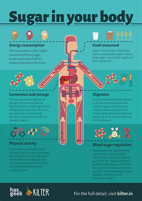 The Importance of Sugar Gift in the Human Psyche