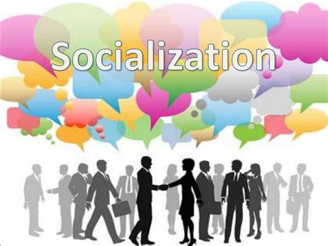 The Importance of Training and Socialization