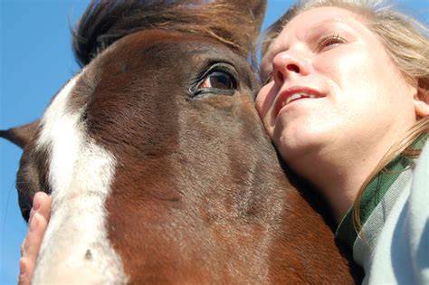 The Incredible Physical Abilities of Equine Wonder