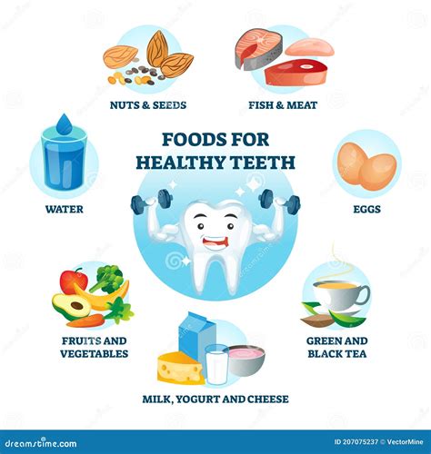 The Influence of Diet and Nutrition on the Appearance of Your Teeth