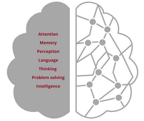 The Influence of Ocular Behaviors on Cognitive Processes