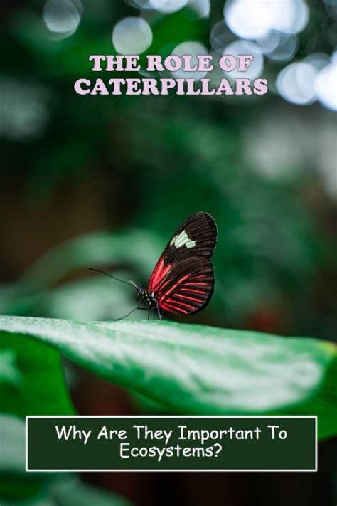 The Integral Role of Caterpillars in Ecosystem Evolution