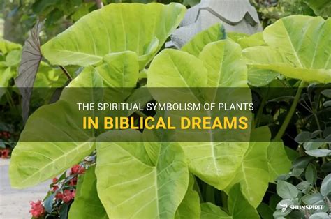 The Interpretation of Plant Destruction in Dreams