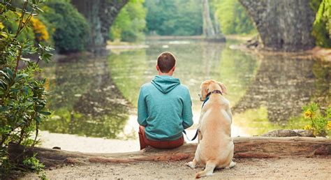 The Intricate Relationship between Canine Companions and Human Consciousness