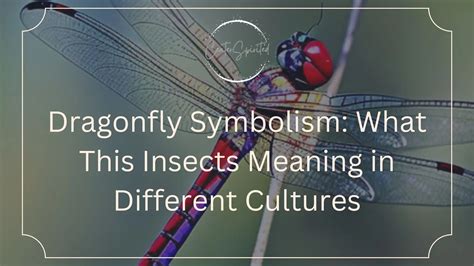 The Intricate Symbolism of the Golden Dragonfly in Different Cultures